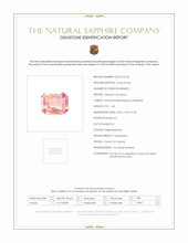 Jewelry Scan Report