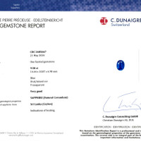 9.50 Ct. Blue Sapphire from Ceylon (Sri Lanka) Scan Report
