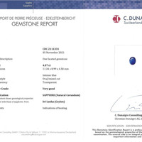 Jewelry Scan Report