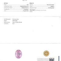 Jewelry Scan Report