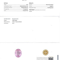 Jewelry Scan Report
