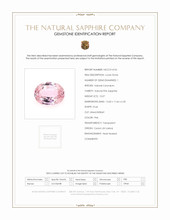 Jewelry Scan Report