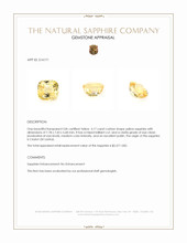 Jewelry Appraisal