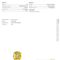 15.10 Ct. Sapphire from Ceylon (Sri Lanka) Scan Report