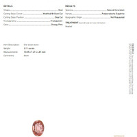 Jewelry Scan Report