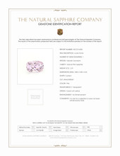 Jewelry Scan Report