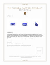 0.97 Ct. Blue Sapphire from Ceylon (Sri Lanka) Appraisal