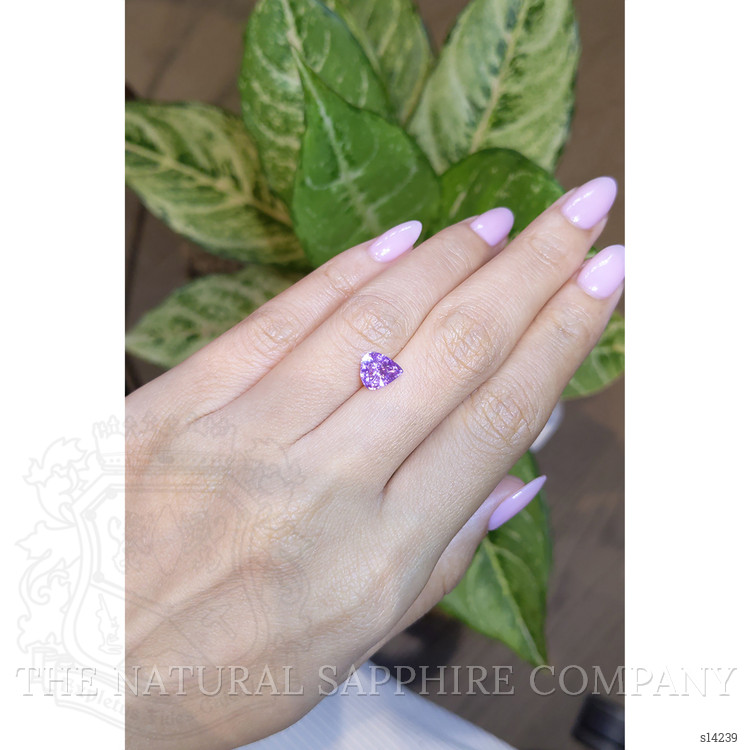 1.97 Ct. Purple Sapphire from Ceylon (Sri Lanka)