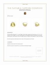 1.74 Ct. Yellow Sapphire from Ceylon (Sri Lanka) Appraisal