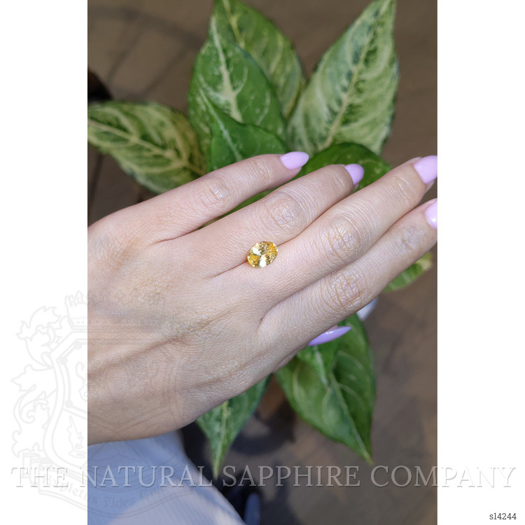 2.83 Ct. Yellow Sapphire from Ceylon (Sri Lanka)