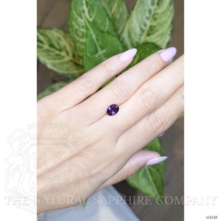 1.40 Ct. Purple Sapphire from Ceylon (Sri Lanka)