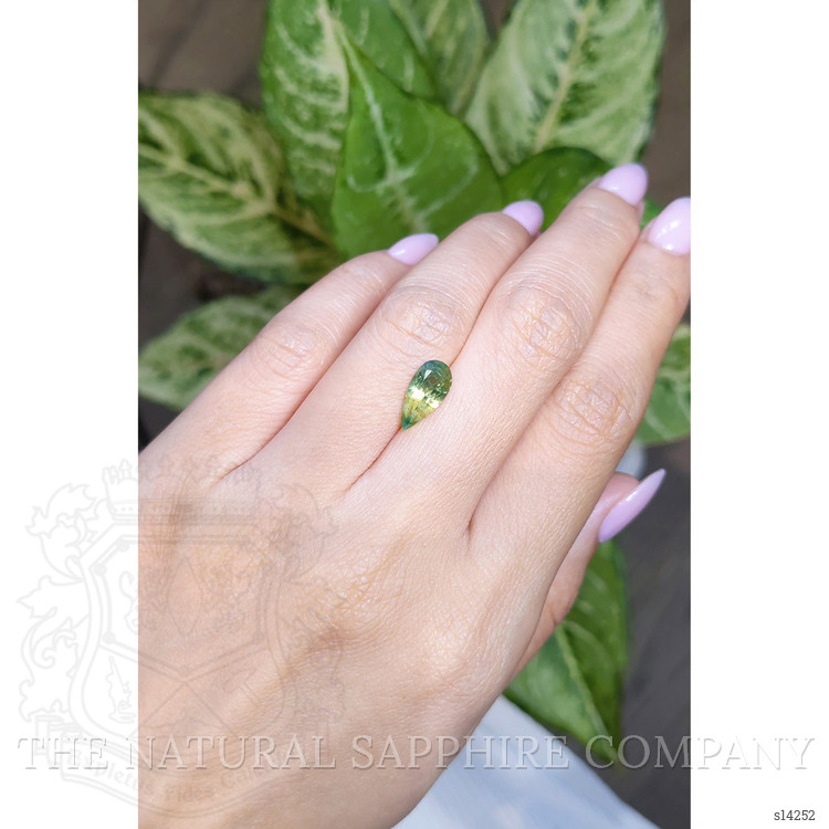 2.27 Ct. Bi Color Sapphire from Ceylon (Sri Lanka)