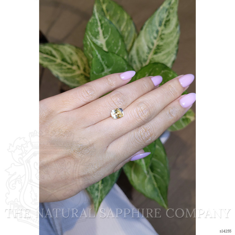 2.71 Ct. Bi Color Sapphire from Ceylon (Sri Lanka)