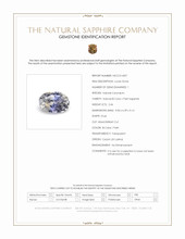 Jewelry Scan Report
