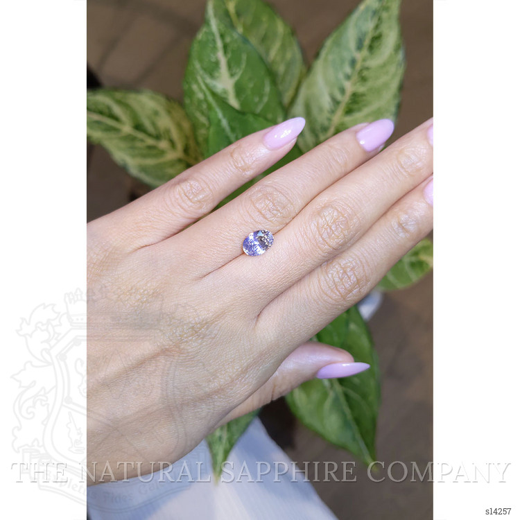 2.44 Ct. Bi Color Sapphire from Ceylon (Sri Lanka)