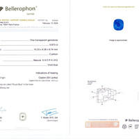 5.97 Ct. Blue Sapphire from Ceylon (Sri Lanka) Scan Report