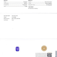 Jewelry Scan Report