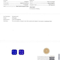 Jewelry Scan Report
