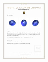 16.14 Ct. Blue Star Sapphire from Ceylon (Sri Lanka) Appraisal
