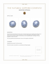 44.32 Ct. Bluish Grey Star Sapphire from Ceylon (Sri Lanka) Appraisal