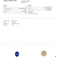 Jewelry Scan Report