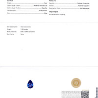 Jewelry Scan Report