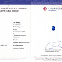 Jewelry Scan Report