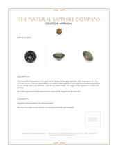Jewelry Appraisal