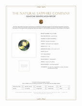 Jewelry Scan Report