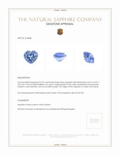 3.23 Ct. Blue Sapphire from Ceylon (Sri Lanka) Appraisal