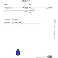 Jewelry Scan Report