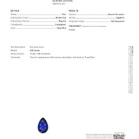 Jewelry Scan Report