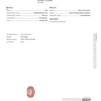 Jewelry Scan Report