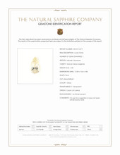 Jewelry Scan Report