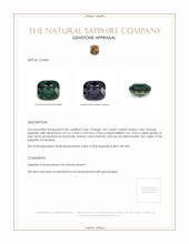 4.01 Ct. Color Change Sapphire from Tanzania Appraisal