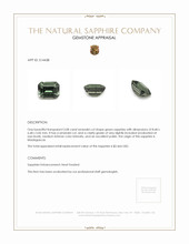 Jewelry Appraisal