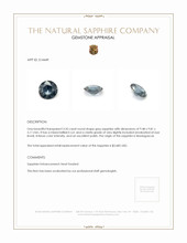 Jewelry Appraisal
