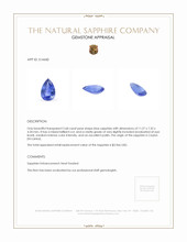 2.68 Ct. Blue Sapphire from Ceylon (Sri Lanka) Appraisal