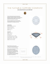 Jewelry 3 D Scan Report