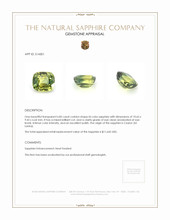 6.85 Ct. Sapphire from Ceylon (Sri Lanka) Appraisal