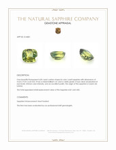 6.85 Ct. Bi Color / Parti Sapphire from Ceylon (Sri Lanka) Appraisal