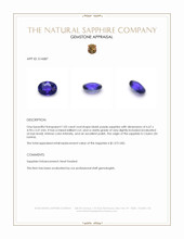 1.05 Ct. Bluish Purple Sapphire from Ceylon (Sri Lanka) Appraisal