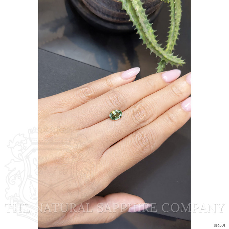 1.64 Ct. Green Sapphire from Ceylon (Sri Lanka)