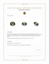 Jewelry Appraisal