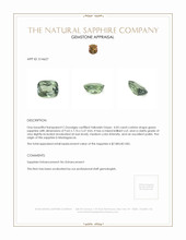 Jewelry Appraisal