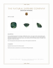 3.52 Ct. Bluish Green Sapphire from Ceylon (Sri Lanka) Appraisal