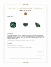 3.52 Ct. Bluish Green Sapphire from Ceylon (Sri Lanka) Appraisal