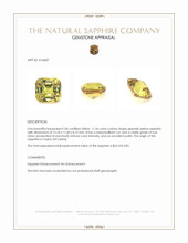 11.26 Ct. Greenish Yellow Sapphire from Ceylon (Sri Lanka) Appraisal