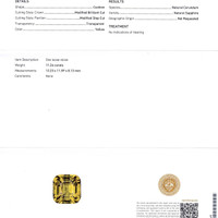 11.26 Ct. Sapphire from Ceylon (Sri Lanka) Scan Report