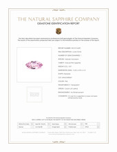 Jewelry Scan Report